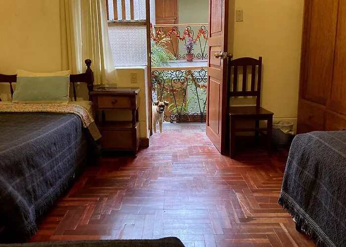 Albergue Eco View - *