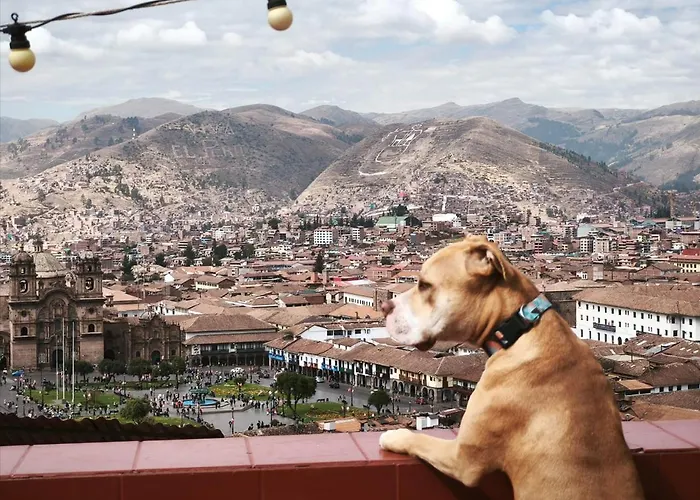 Albergue Eco View - Cusco